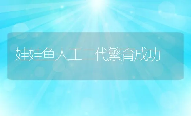 如何选择预混料以及使用时的要点 | 动物养殖饲料