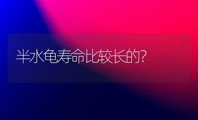 半水龟寿命比较长的？ | 动物养殖问答