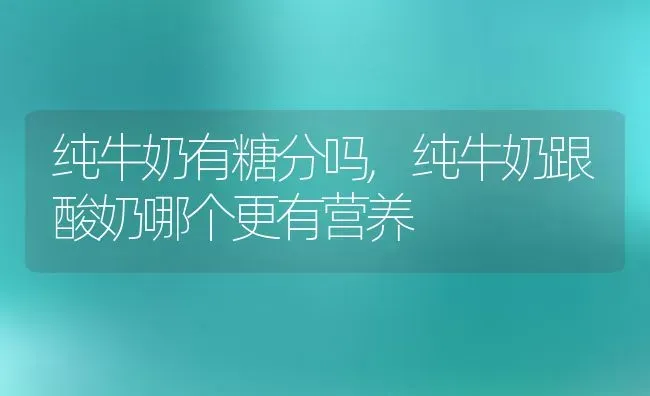 纯牛奶有糖分吗,纯牛奶跟酸奶哪个更有营养 | 宠物百科知识