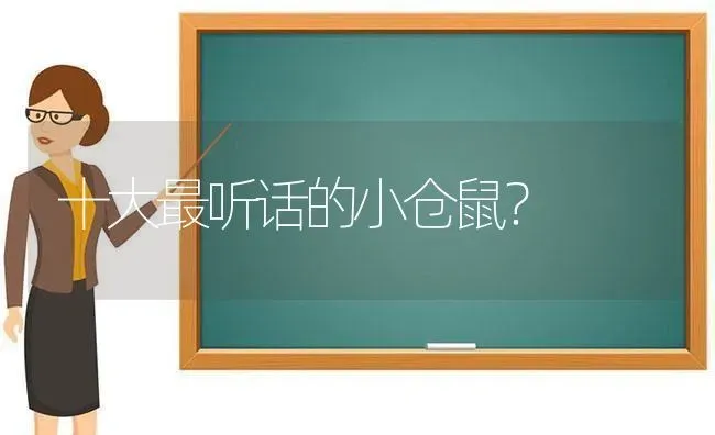 十大最听话的小仓鼠？ | 动物养殖问答