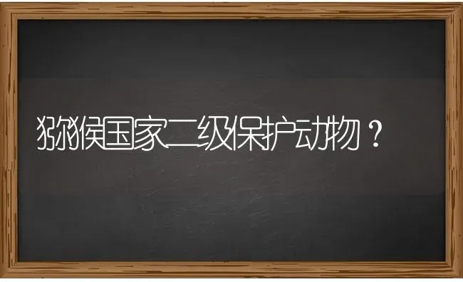 大丹犬和圣伯纳犬比谁个子大？ | 动物养殖问答