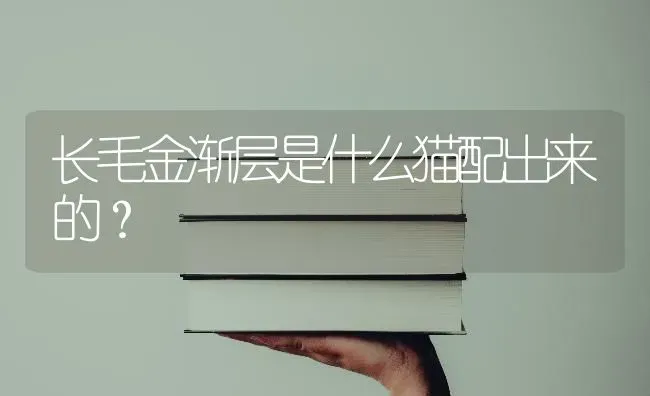 长毛金渐层是什么猫配出来的？ | 动物养殖问答