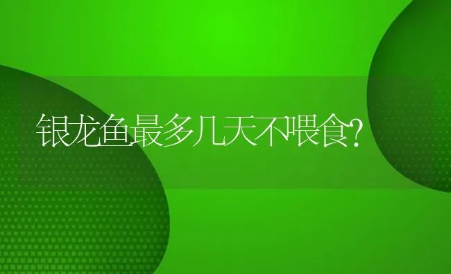 银龙鱼最多几天不喂食？ | 鱼类宠物饲养