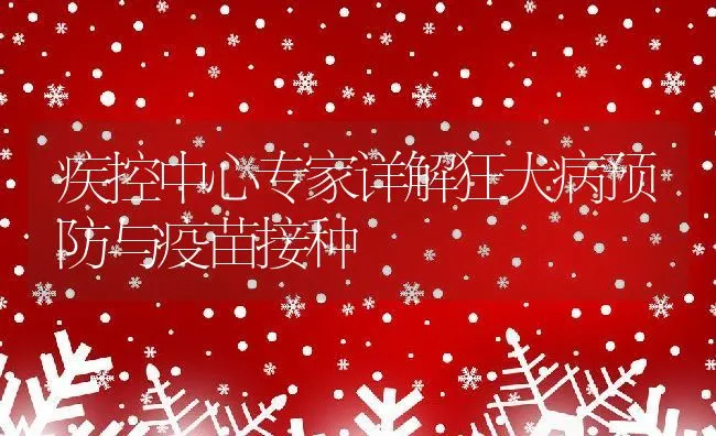 疾控中心专家详解狂犬病预防与疫苗接种 | 水产养殖知识