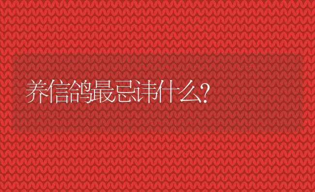 养信鸽最忌讳什么？ | 动物养殖饲料