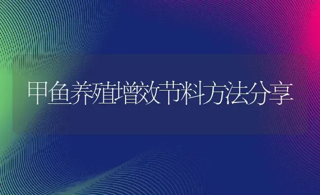 甲鱼养殖增效节料方法分享 | 动物养殖教程