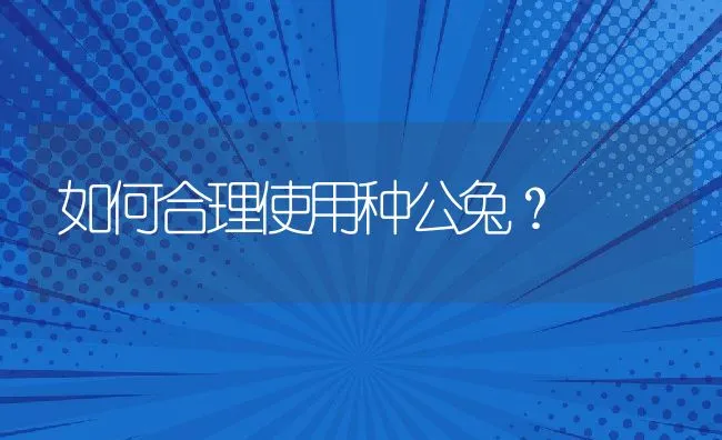 如何合理使用种公兔？ | 水产养殖知识