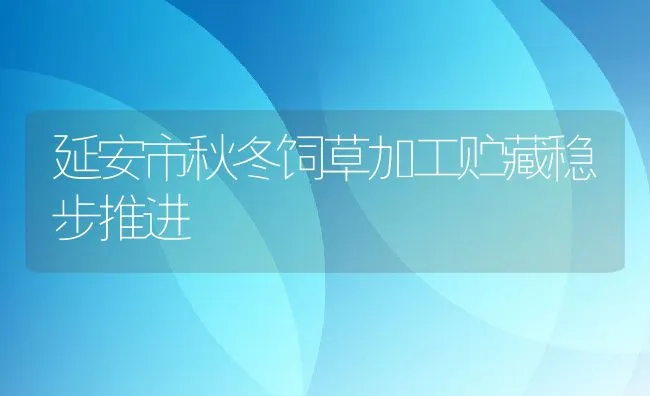 延安市秋冬饲草加工贮藏稳步推进 | 动物养殖学堂