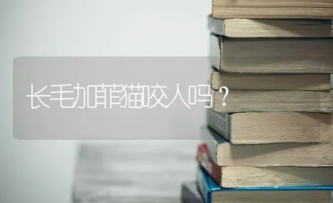 泰迪和比熊的串串怎么养？ | 动物养殖问答