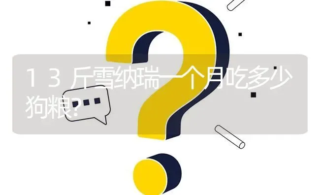 13斤雪纳瑞一个月吃多少狗粮？ | 动物养殖问答