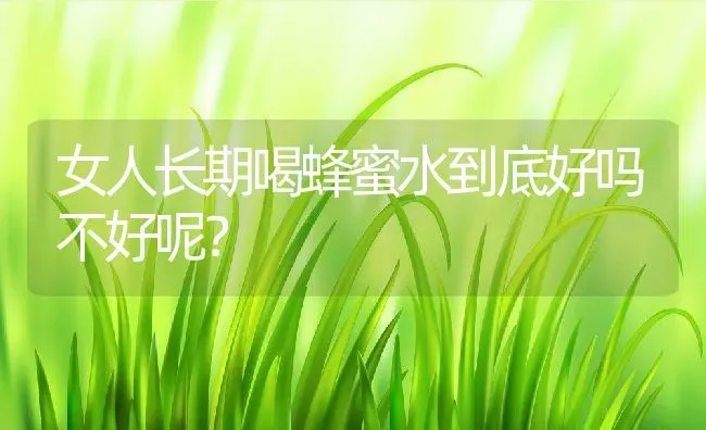 女人长期喝蜂蜜水到底好吗不好呢？ | 动物养殖百科