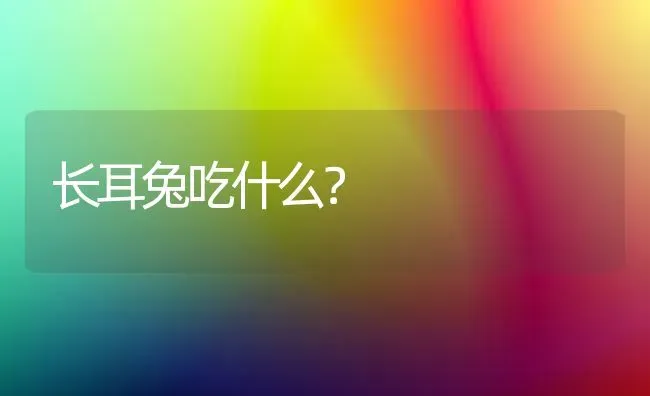 长耳兔吃什么？ | 动物养殖问答