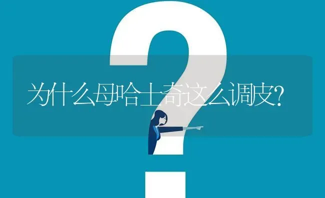 为什么母哈士奇这么调皮？ | 动物养殖问答