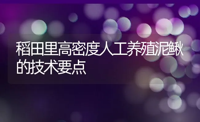 稻田里高密度人工养殖泥鳅的技术要点 | 水产养殖知识