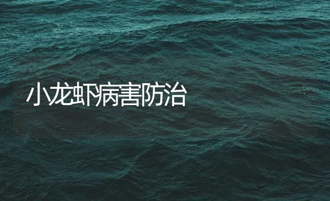 小龙虾病害防治 | 海水养殖技术