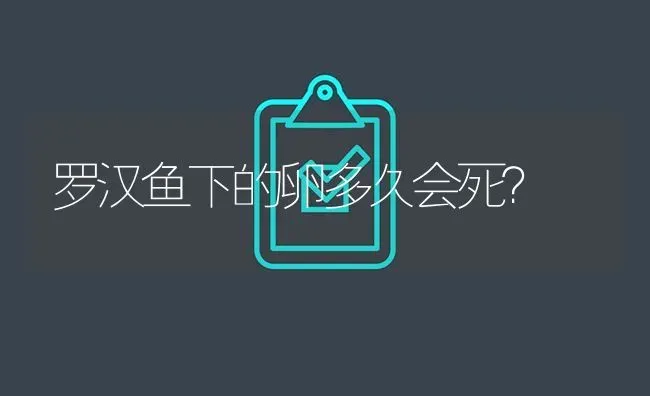 罗汉鱼下的卵多久会死？ | 鱼类宠物饲养