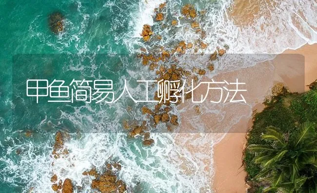 甲鱼简易人工孵化方法 | 海水养殖技术