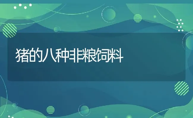 猪的八种非粮饲料 | 动物养殖饲料