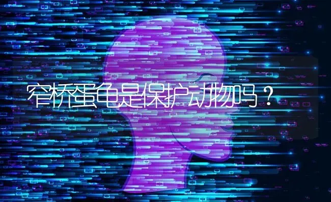 窄桥蛋龟是保护动物吗？ | 动物养殖问答