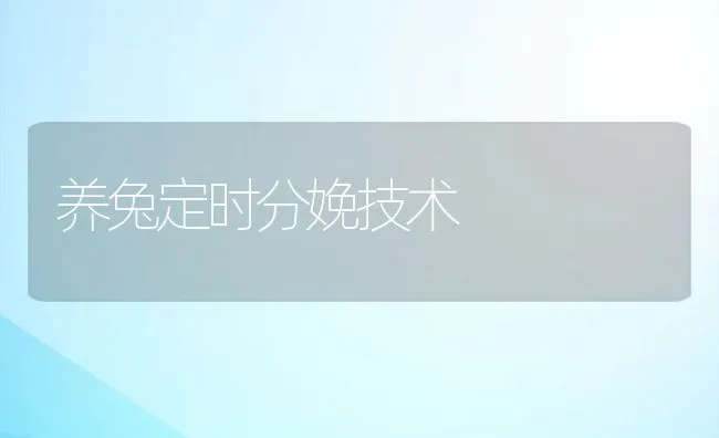 养兔定时分娩技术 | 水产养殖知识