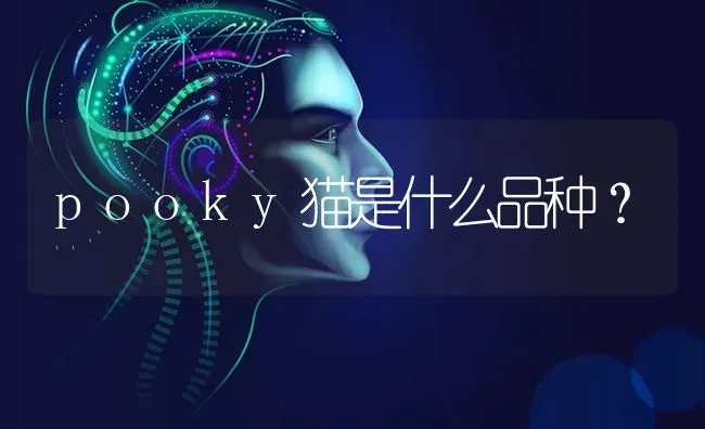 史瑞莎什么种类犬？ | 动物养殖问答