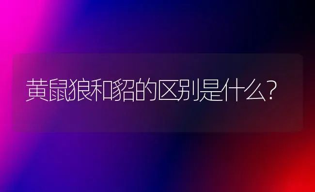 黄鼠狼和貂的区别是什么？ | 动物养殖问答