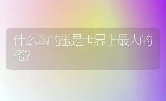 什么鸟的蛋是世界上最大的蛋？ | 动物养殖问答