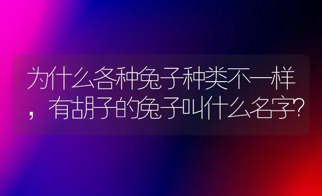 为什么各种兔子种类不一样，有胡子的兔子叫什么名字？ | 动物养殖问答