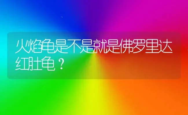 火焰龟是不是就是佛罗里达红肚龟？ | 动物养殖问答