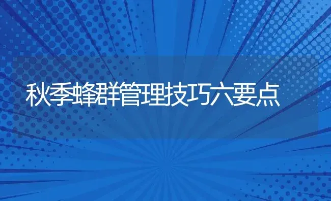 秋季蜂群管理技巧六要点 | 动物养殖教程