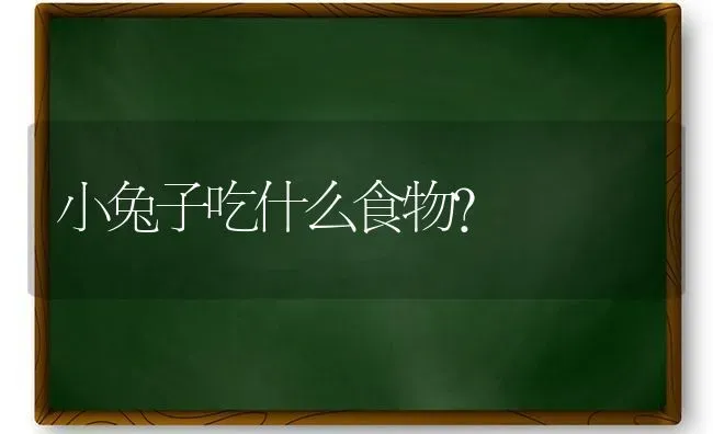 小兔子吃什么食物？ | 动物养殖问答