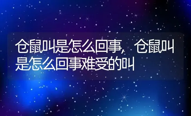 仓鼠叫是怎么回事,仓鼠叫是怎么回事难受的叫 | 宠物百科知识