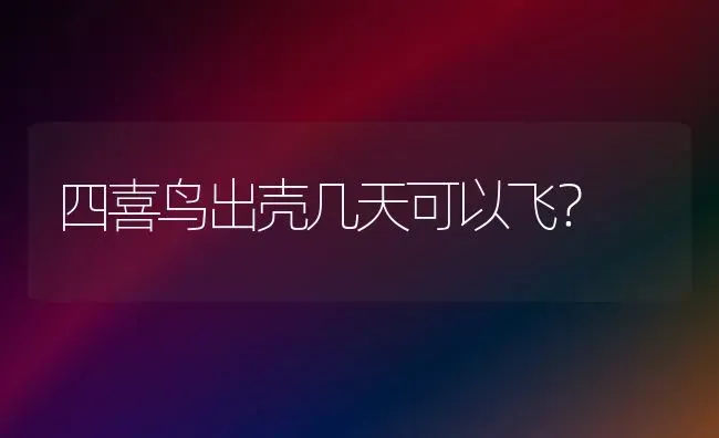 加菲猫狗叫什么名字？ | 动物养殖问答