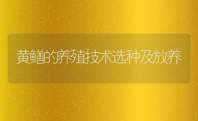 黄鳝的养殖技术选种及放养 | 水产养殖知识