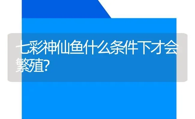 七彩神仙鱼什么条件下才会繁殖？ | 鱼类宠物饲养