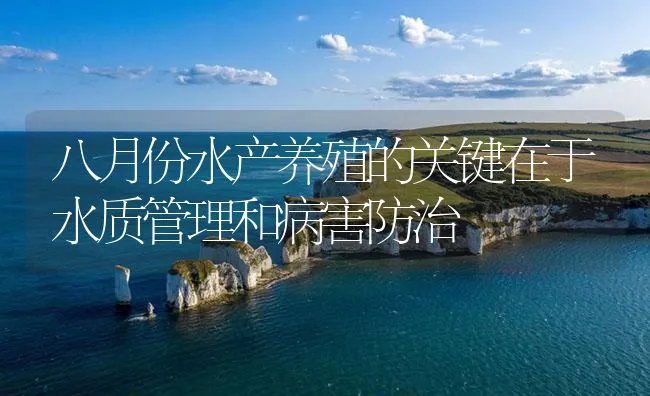 八月份水产养殖的关键在于水质管理和病害防治 | 海水养殖技术