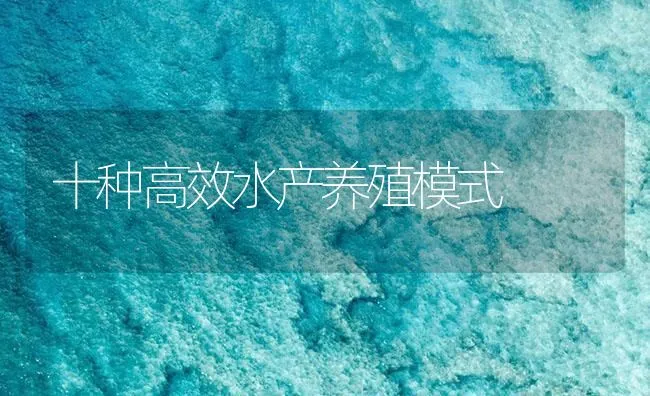 十种高效水产养殖模式 | 海水养殖技术