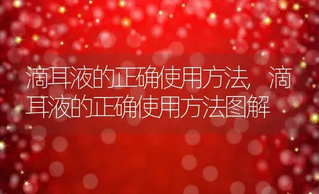 滴耳液的正确使用方法,滴耳液的正确使用方法图解 | 宠物百科知识