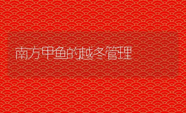 用盆养黄粉虫技术 | 水产养殖知识