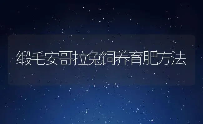 缎毛安哥拉兔饲养育肥方法 | 动物养殖百科