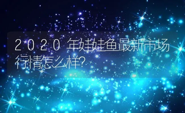 2020年娃娃鱼最新市场行情怎么样？ | 动物养殖百科