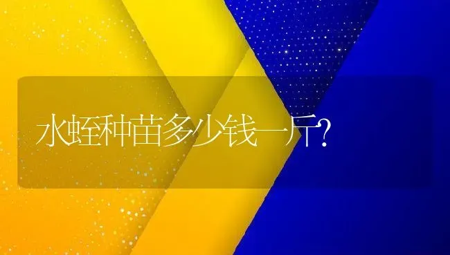 水蛭种苗多少钱一斤？ | 动物养殖百科