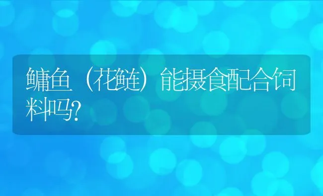 鳙鱼（花鲢）能摄食配合饲料吗？ | 动物养殖饲料