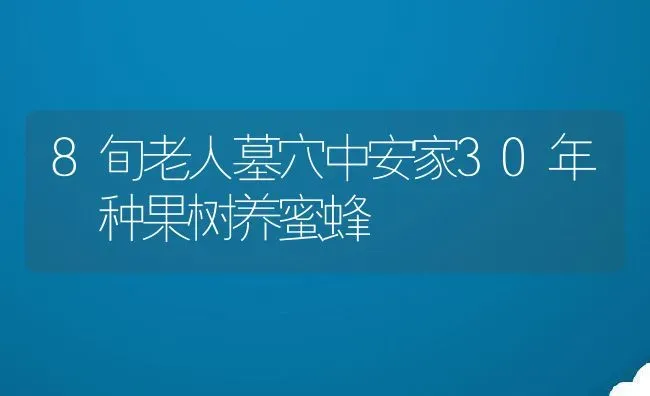 8旬老人墓穴中安家30年 种果树养蜜蜂 | 动物养殖教程