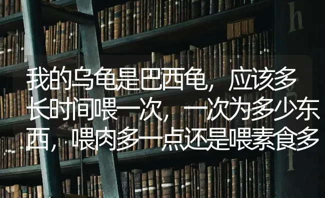 我的乌龟是巴西龟，应该多长时间喂一次，一次为多少东西，喂肉多一点还是喂素食多一点？ | 动物养殖问答