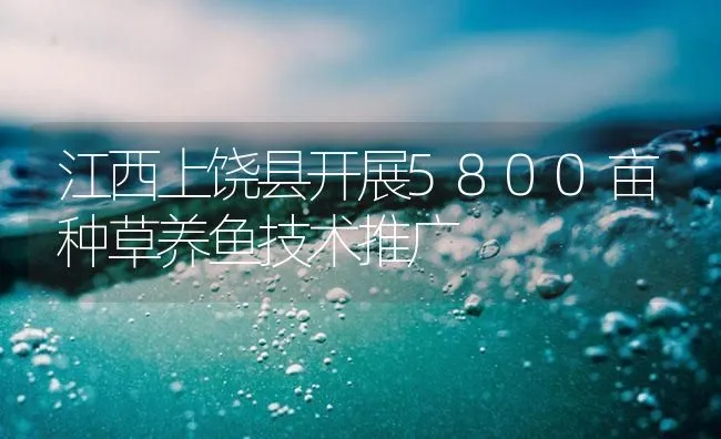 江西上饶县开展5800亩种草养鱼技术推广 | 海水养殖技术