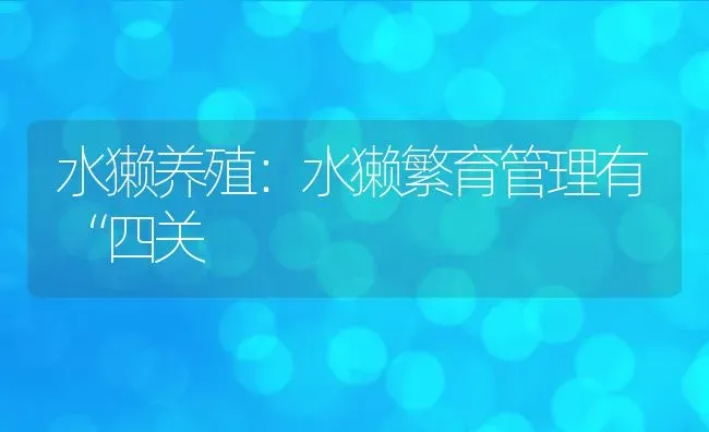 水獭养殖：水獭繁育管理有“四关 | 特种养殖技术