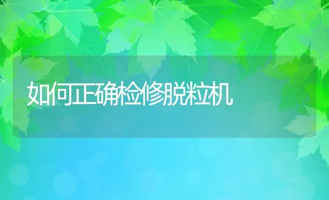 如何正确检修脱粒机 | 动物养殖学堂