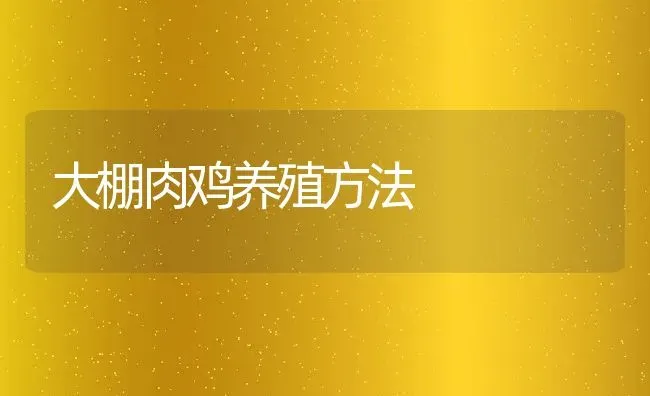 大棚肉鸡养殖方法 | 动物养殖教程