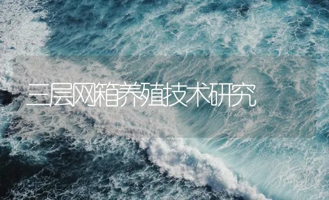 三层网箱养殖技术研究 | 海水养殖技术